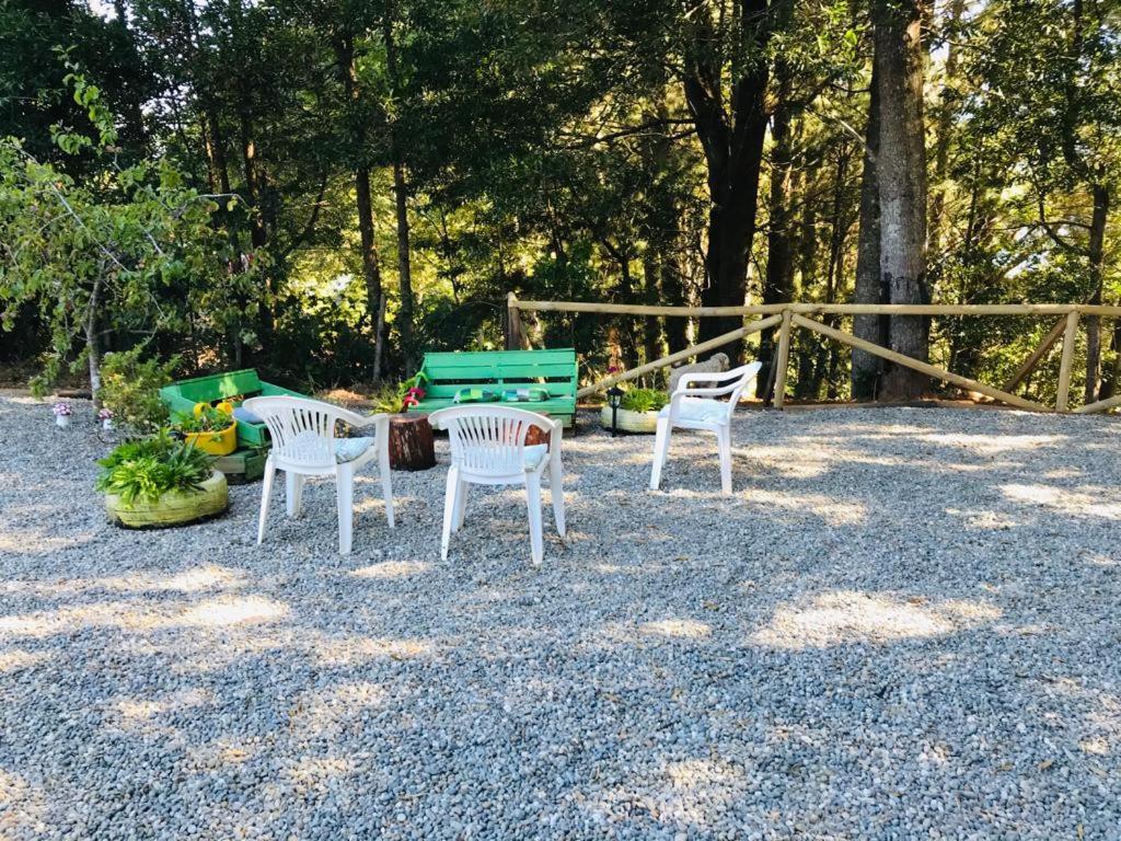 Hostel Isla Del Rey Valdivia Εξωτερικό φωτογραφία