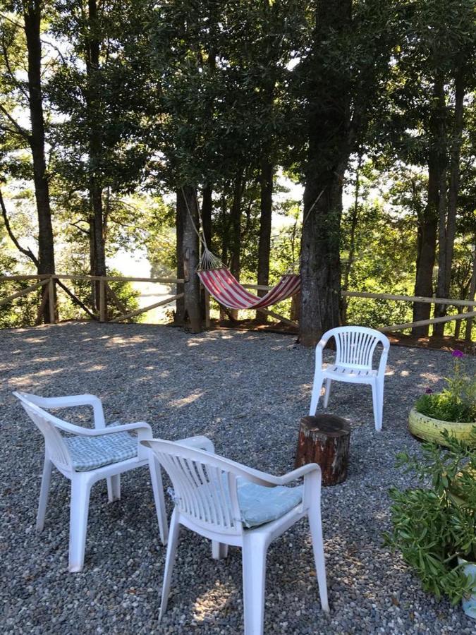 Hostel Isla Del Rey Valdivia Εξωτερικό φωτογραφία