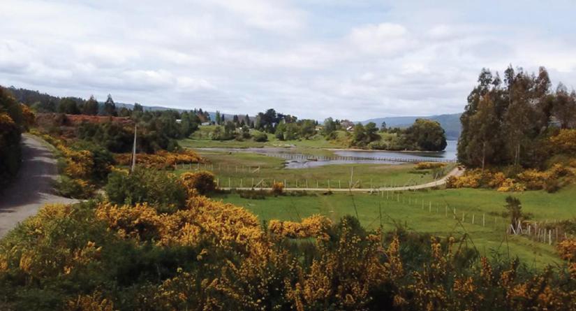 Hostel Isla Del Rey Valdivia Εξωτερικό φωτογραφία